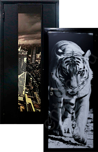 Cтальные двери с фотопечатью - Изображение